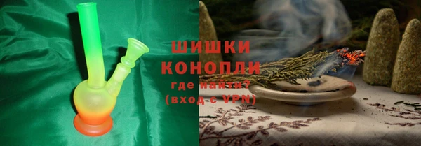 стаф Арсеньев