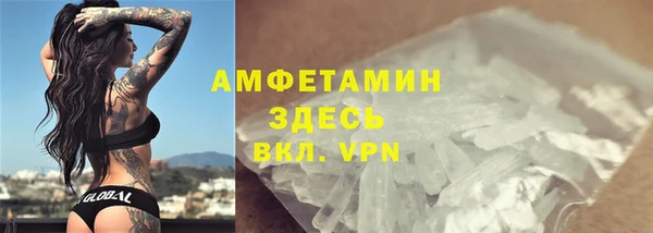 индика Алзамай