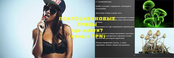 прущий лед Армянск