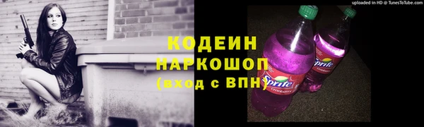 стаф Арсеньев