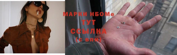 гидра Аркадак