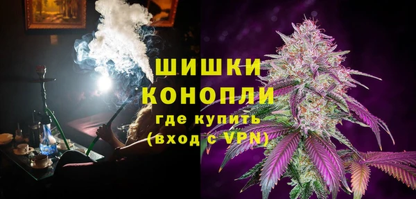 гидра Аркадак