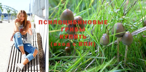 прущий лед Армянск