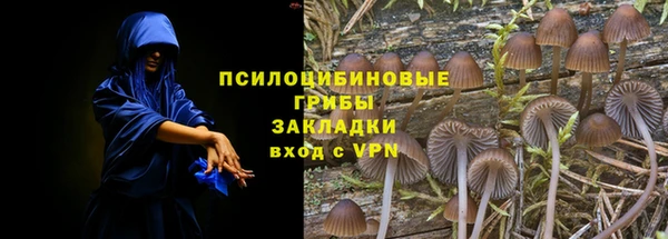 молекула духа Сафоново